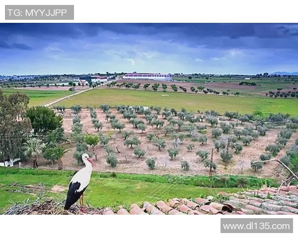 探索埃斯特旺的独特魅力与丰富文化遗产之旅