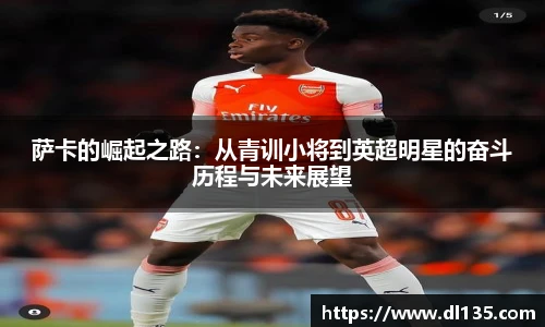 球速体育平台登录入口
